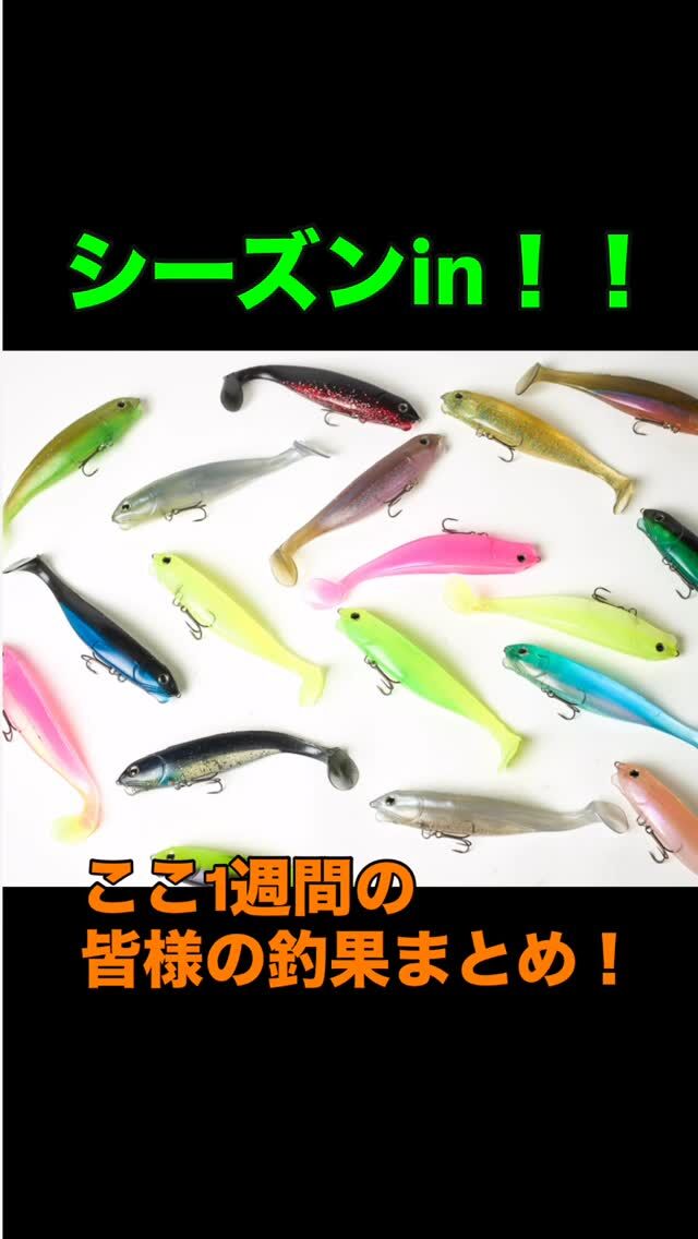 FINAL WEAPON（ファイナルウェポン）公式