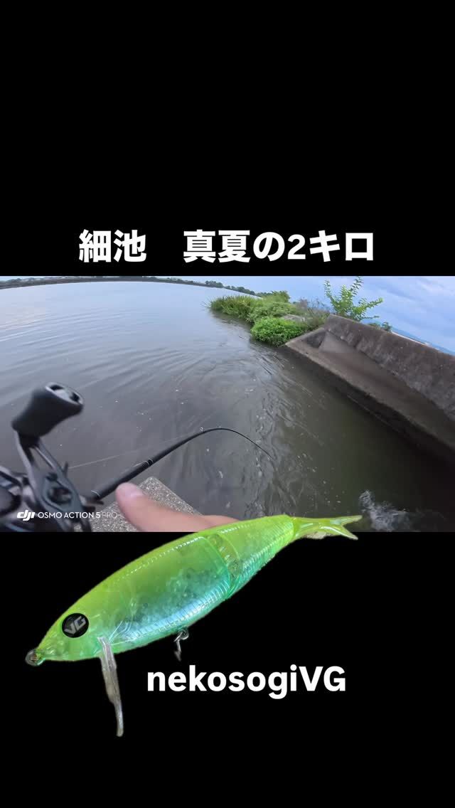 FINAL WEAPON（ファイナルウェポン）公式